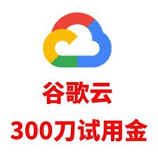 GCP $300 Google Cloud试用金｜谷歌云VPS云计算开发额度